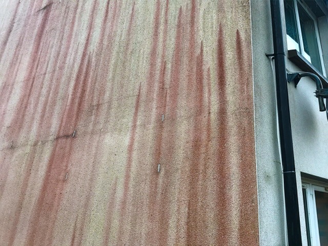 Clean Red Algae From Walls, Moss Removal - Dublin, Wicklow, Wexford