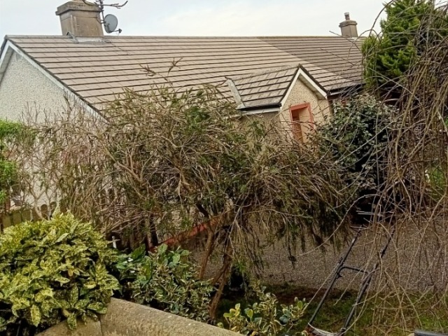 Garden Tidy-Up, Garden Clearance, Garden Cut Back, Overgrown Garden